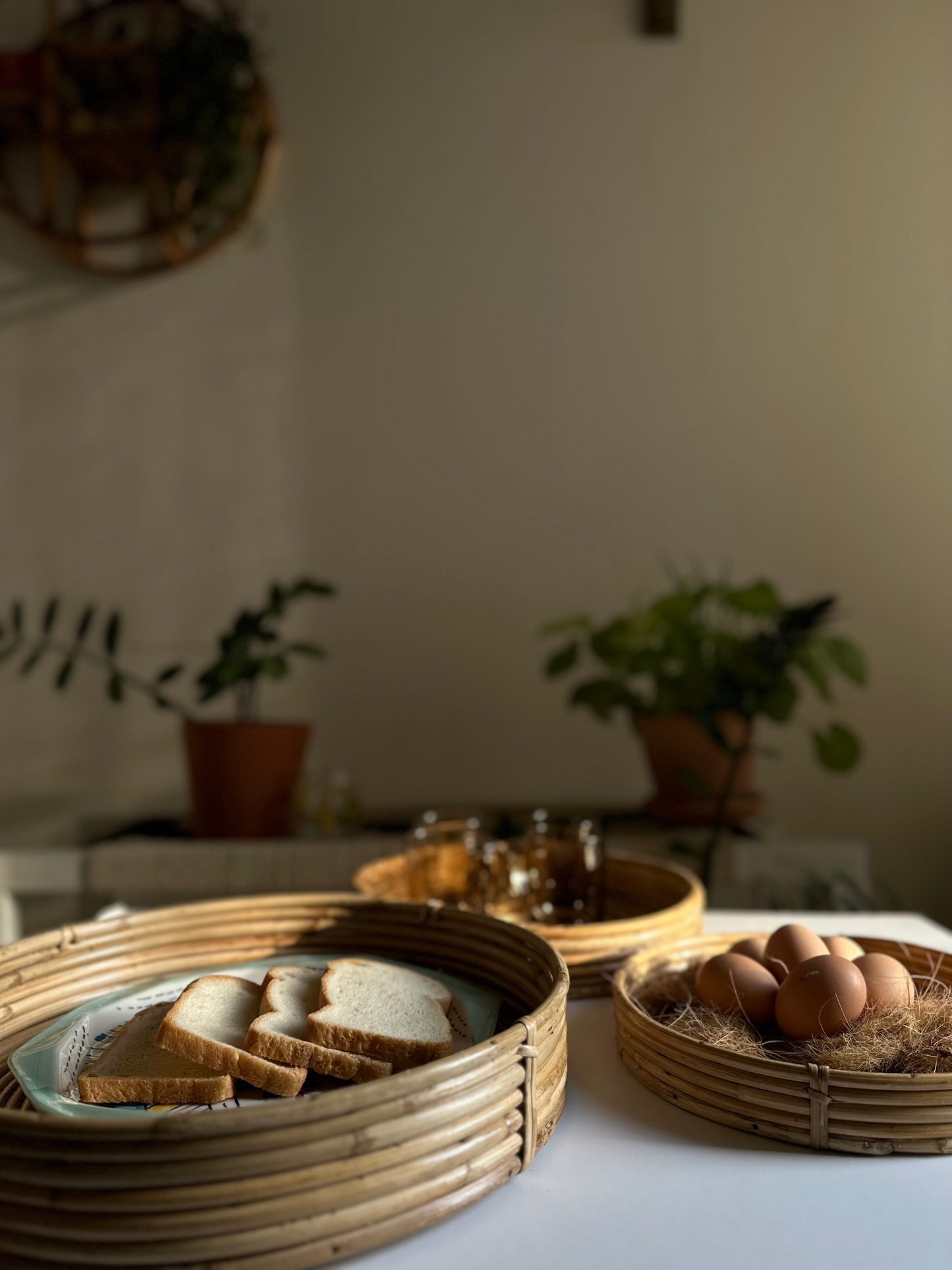 Natural Round Cane Tray ⎢Set of 3 ⎢Handwoven by Expert Artisans.