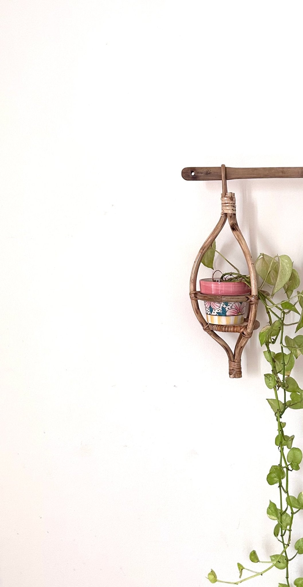 Rattan Hanging Planter ⎪ Beige ⎪ Handcrafted.