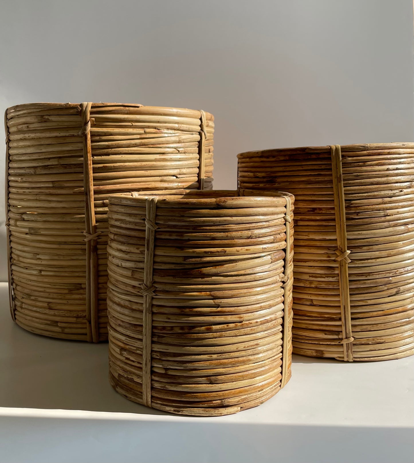 Coiled Cane Planter/ Storage  ︳Small.