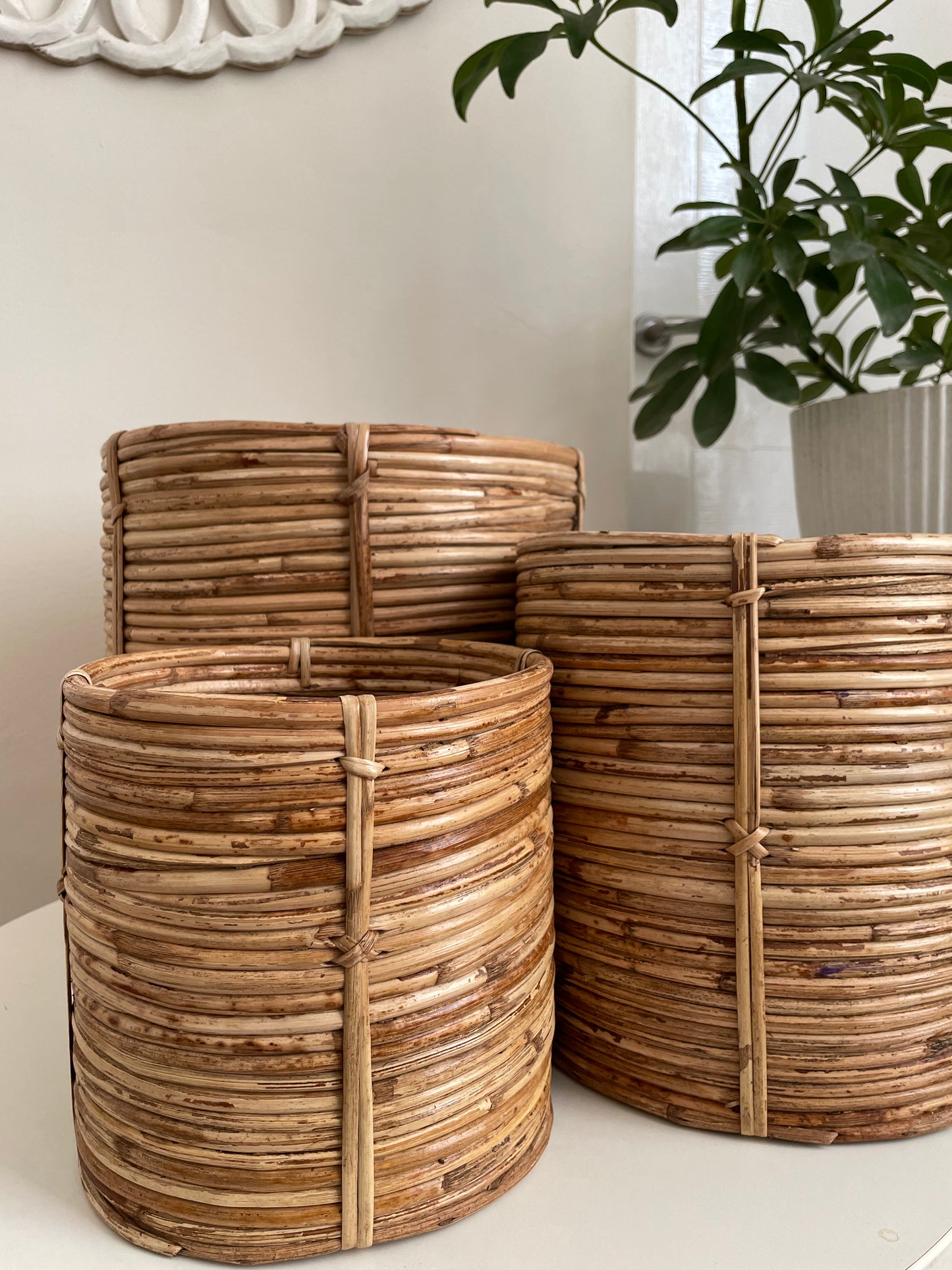 Coiled Cane Planter/ Storage ︳Large