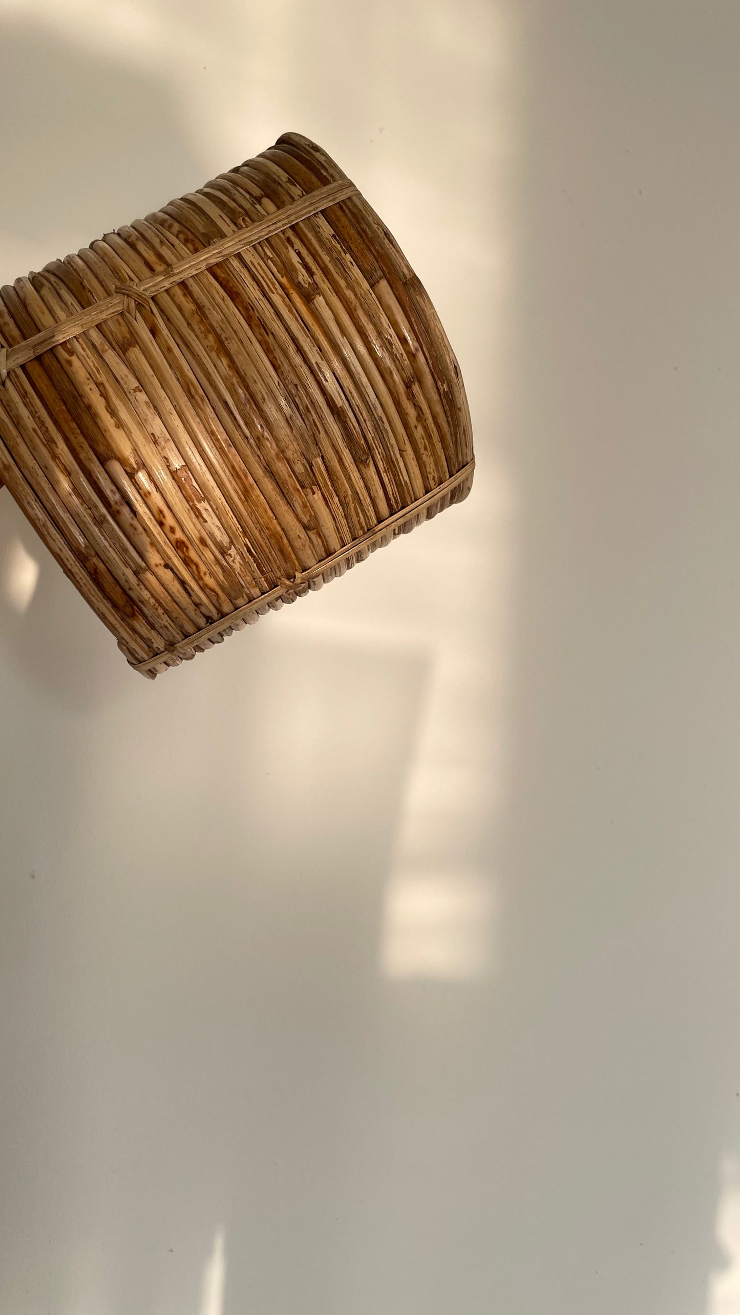 Coiled Cane Planter/ Storage  ︳Small.