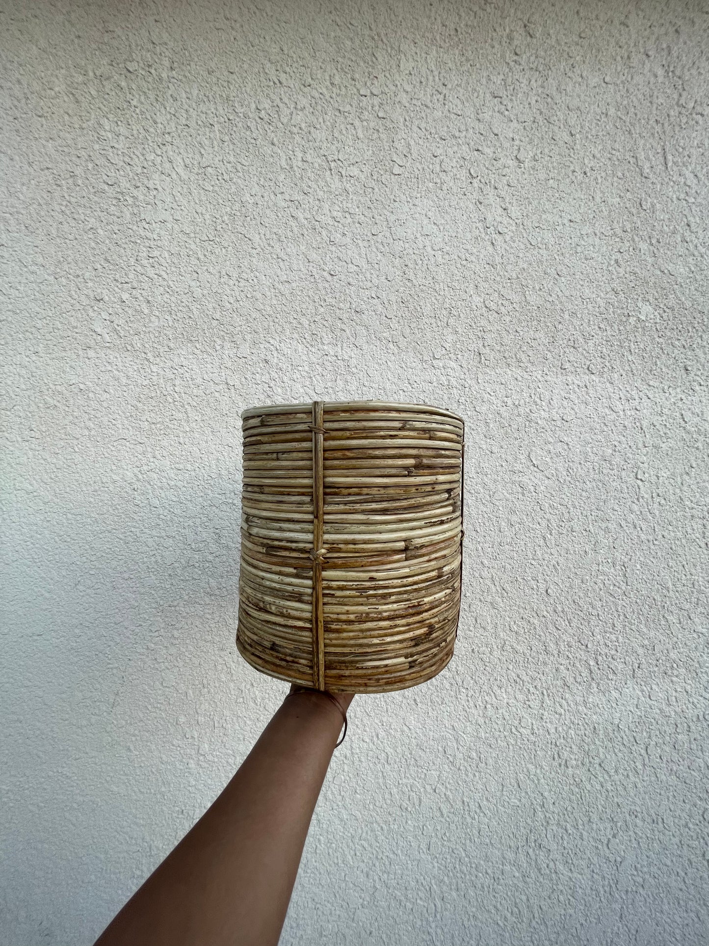 Coiled Cane Planter/ Storage  ︳Small.