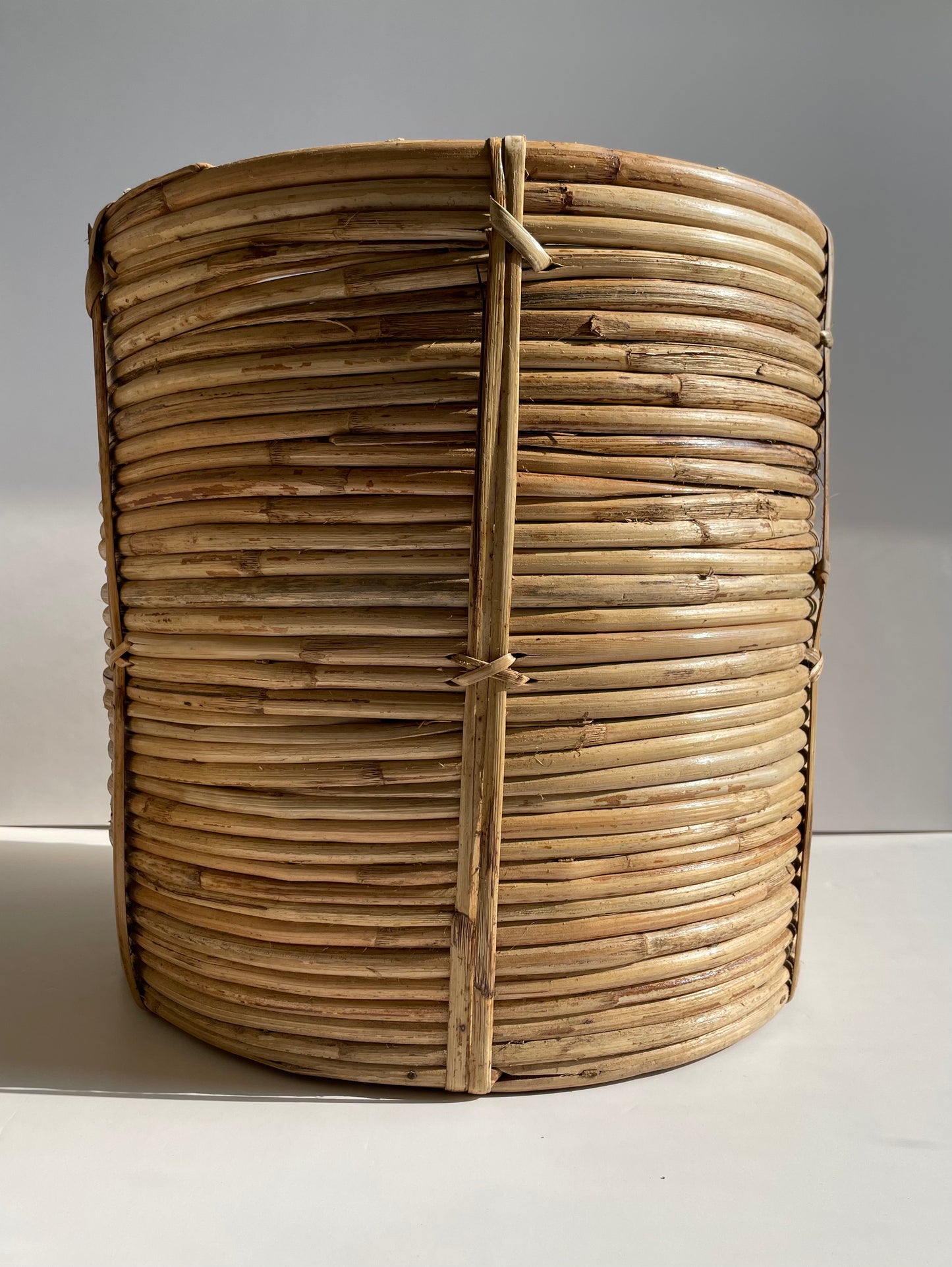 Coiled Cane Planter/ Storage ︳Large