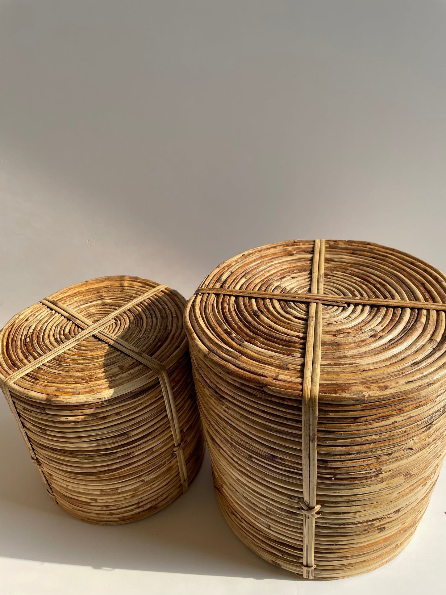 Coiled Cane Planter/ Storage ︳Medium